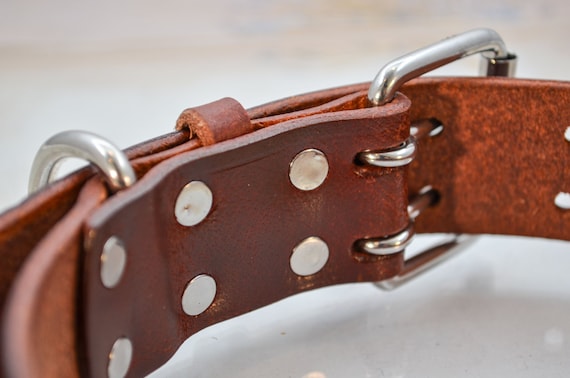 Luxury Leather Designer Dog Collar In XS, S, M, L, XL (Optional