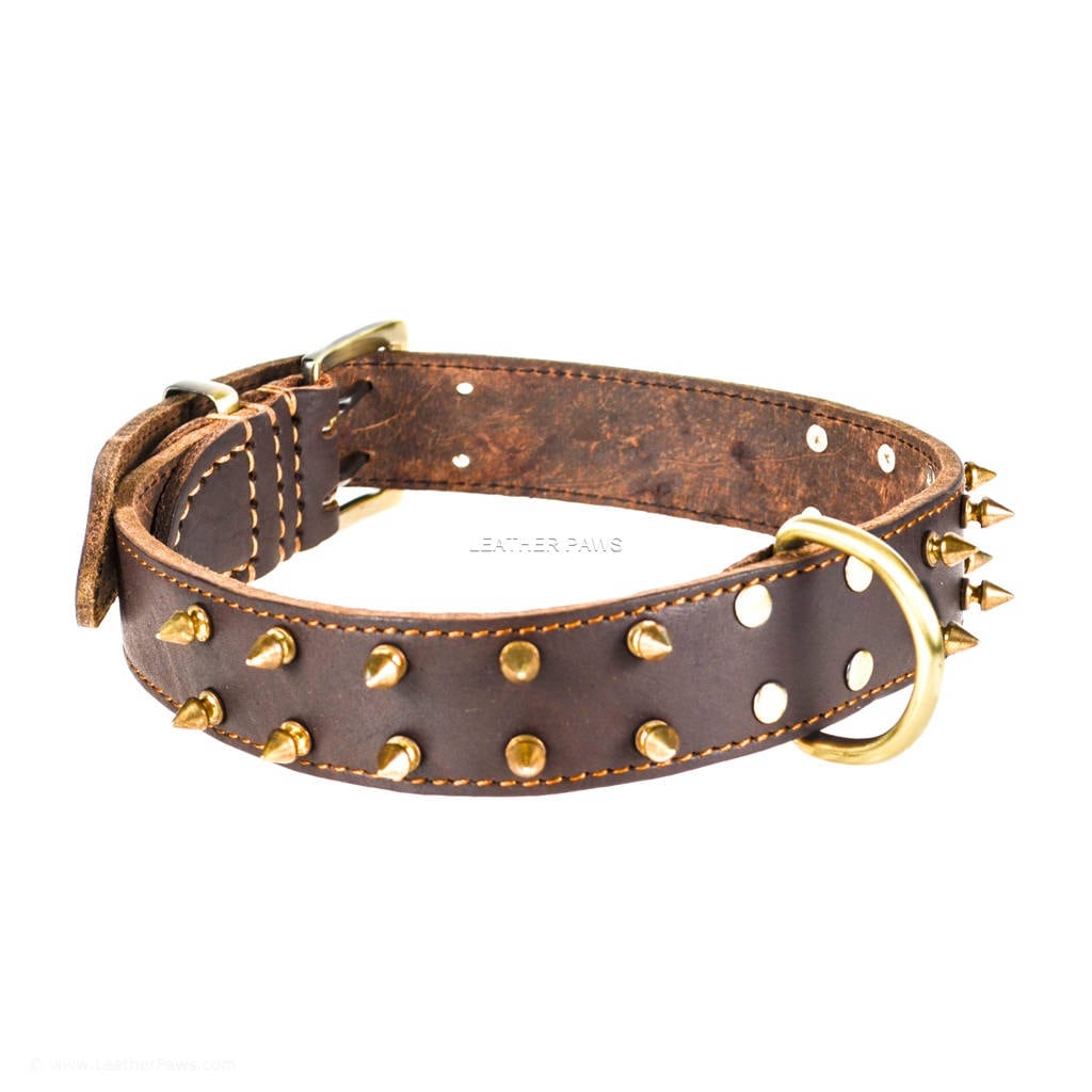 red spiked dog collar