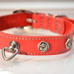 Op de afbeelding: Rode leren hondenriem met zilveren metalen accenten en een rozenontwerp. De riem heeft een zilveren metalen D-ring en een zilveren metalen gesp.