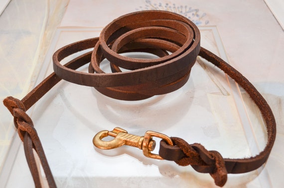 Braided Leather Dog Leash DIY 