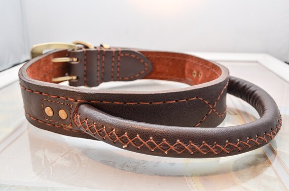 large dog collar with handle