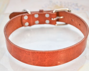 Platte stevige lederen halsband gemaakt met zadel Tan echte echte lederen HeavyDuty voor extra kleine-medium hondenrassen-9 "tot 20" nek