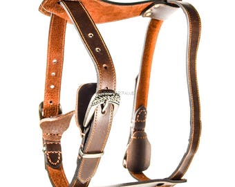 Lederen harnas voor honden, echt leer, bruin rood brons messing kleurencombinatie, gedetailleerde warrior gesp, verstelbaar, past klein en medium