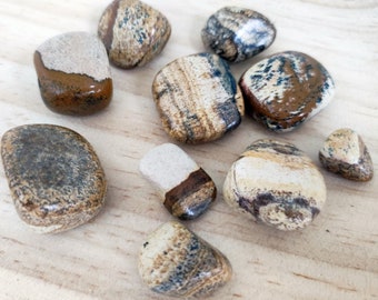 Wood Jasper tumbled stones, set of 9 pieces, Calming crystals, Meditation stone, Brown Jasper pocket stones