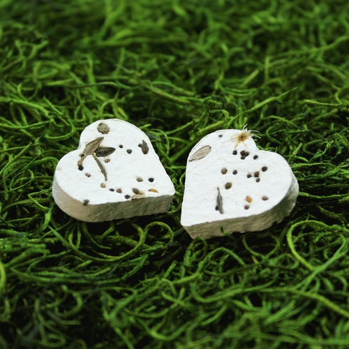 Wildflower Seed Bombs 50 Pastel Plantable Hearts Pastel Etsy