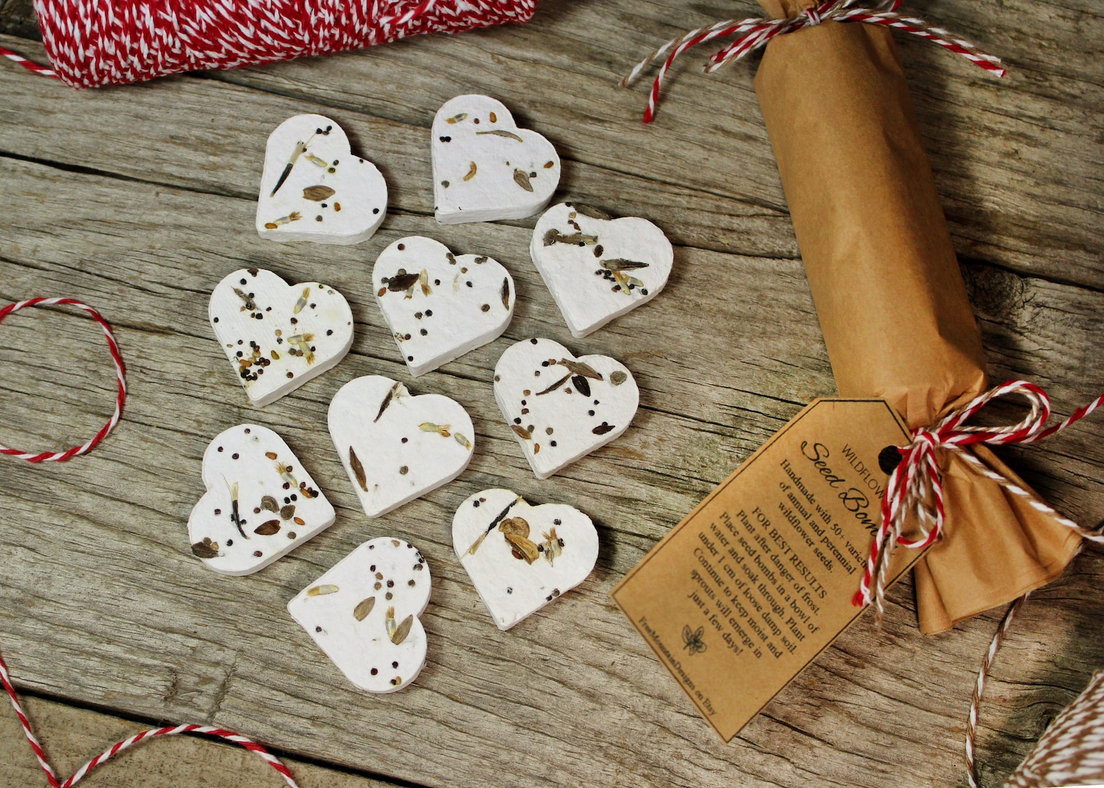 10pc Wildflower Seed Bomb Pack Plantable Biodegradable Etsy