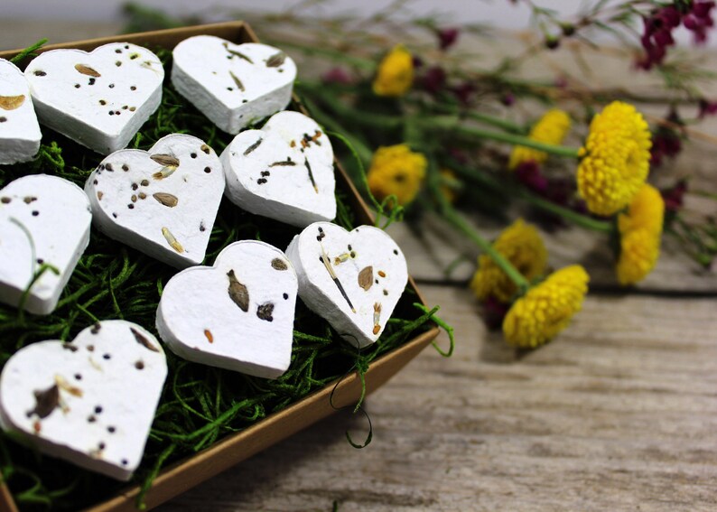 Wildflower Seed Bomb Gift Box Plantable Biodegradable Hearts Etsy