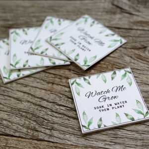 Istruzioni per piantare, Carte quadrate da 1,5 pollici, Doppia faccia, Cartoncino bianco, Carte personalizzate, Guardami crescere