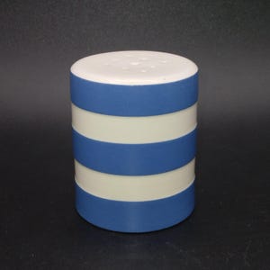 May include: A cylindrical salt shaker with a white top and alternating blue and white horizontal stripes. The top has several small holes for dispensing salt. The shaker is a kitchen accessory.