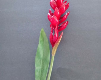 30 Artificial Ginger Lily Spray Pink Ginger Plant Real Etsy 30 Artificial Ginger Lily Spray Pink Ginger Plant Real Etsy