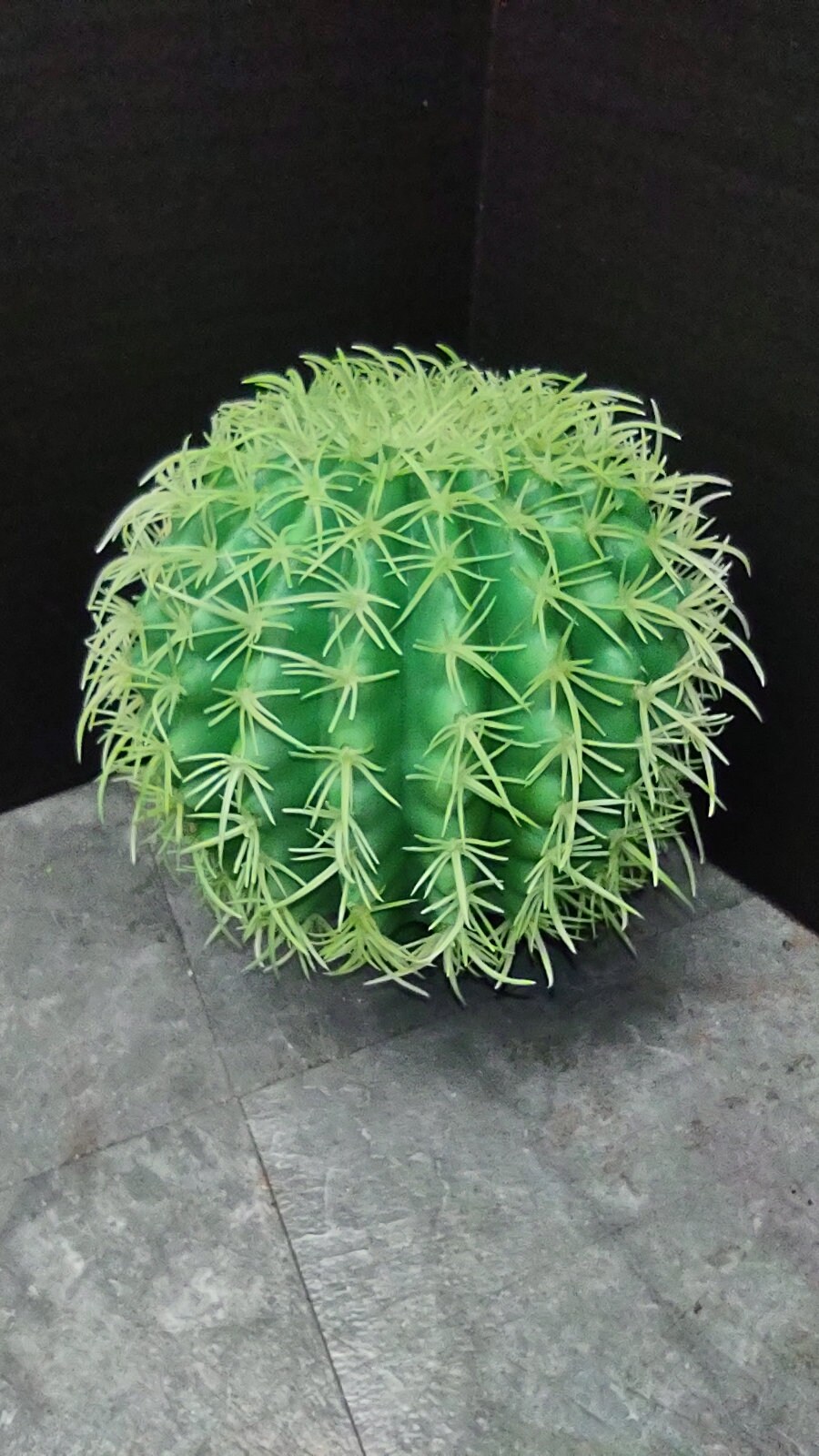 ブラータ CACTUS GREEN購入品 6