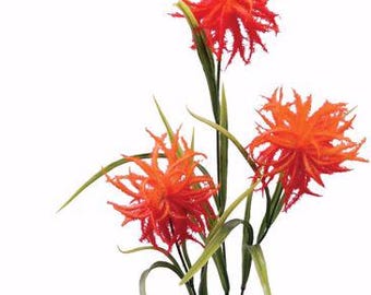 Wild flower tropical floral stem
