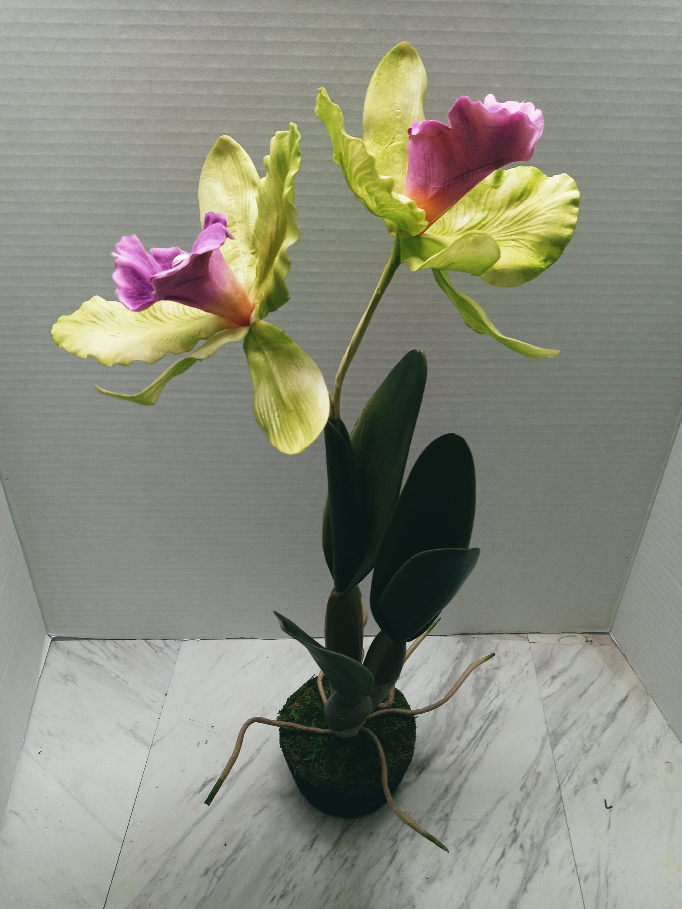 Home Décor Vintage Cattleya Orchid WO pot Silk Flowers Plants Floral