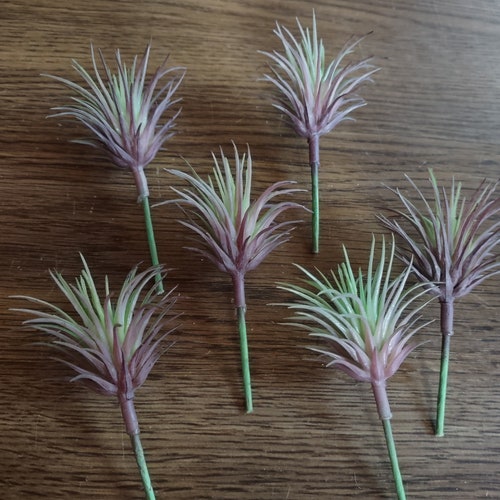 GRAY Mini Artificial Air Plants Tillandsia Silk Flowers Etsy