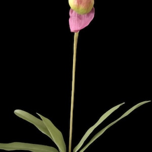 LARGE Artificial Paphiopedilum Lady slipper orchid  BURGUNDY