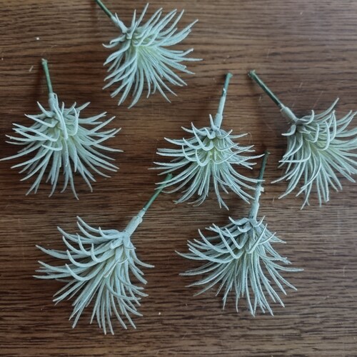 GRAY Mini Artificial Air Plants Tillandsia Silk Flowers Etsy