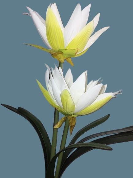 Artificial lotus flower decoration