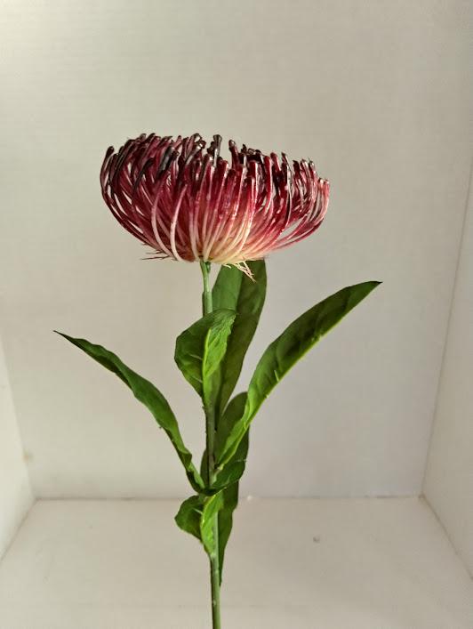 プロテア　ステートリー　2 Needle Protea Stems. Hawaiian Flowers. Tropical Flowers BURGUNDY