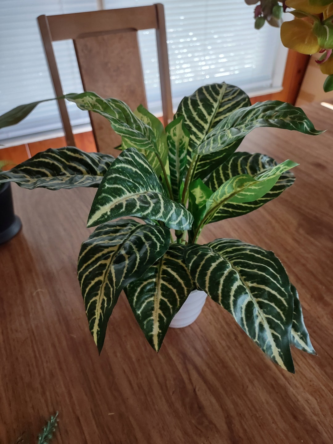 Artificial Zebra Plant Silk Flower Floral Arrangements With Pot Etsy