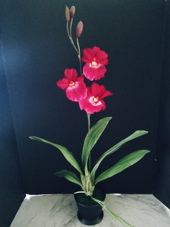 Planta de orquídea miltoniopsis artificial - Etsy España