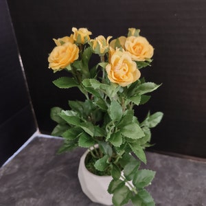 May include: A small potted plant with yellow roses and green leaves in a white ceramic pot.