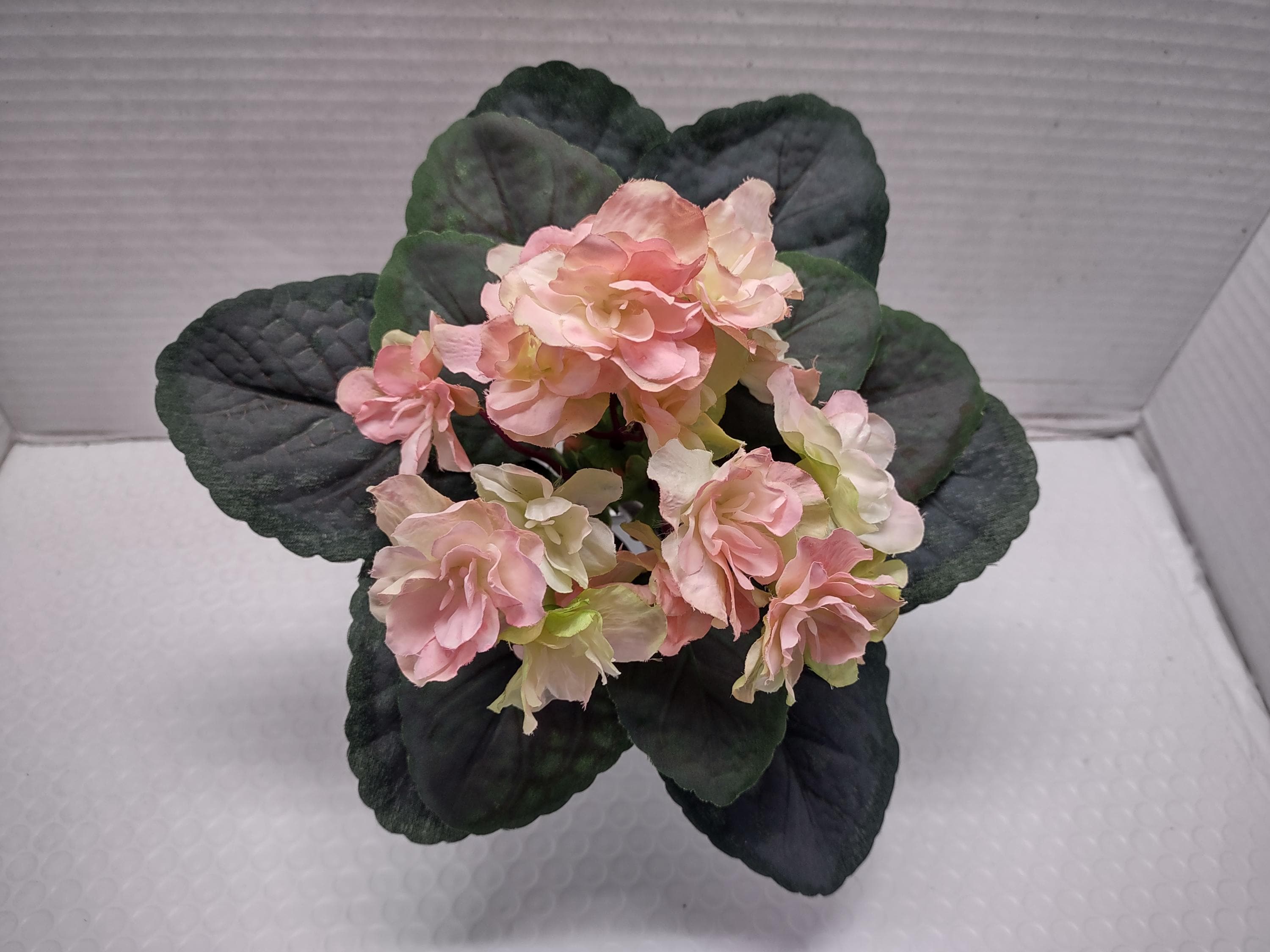 8" Artificial African violet (pink with green edge)