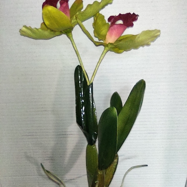 Vintage Cattleya Orchid  W/O pot Silk Flowers Plants CHARTREUSE