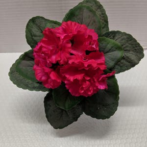 8" ARTIFICIAL African violet (magenta)