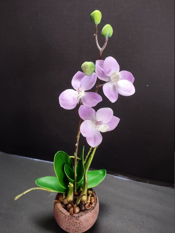 Miniature Artificial phalaenopsis Orchid Silk Orchids RASPBERRY Real