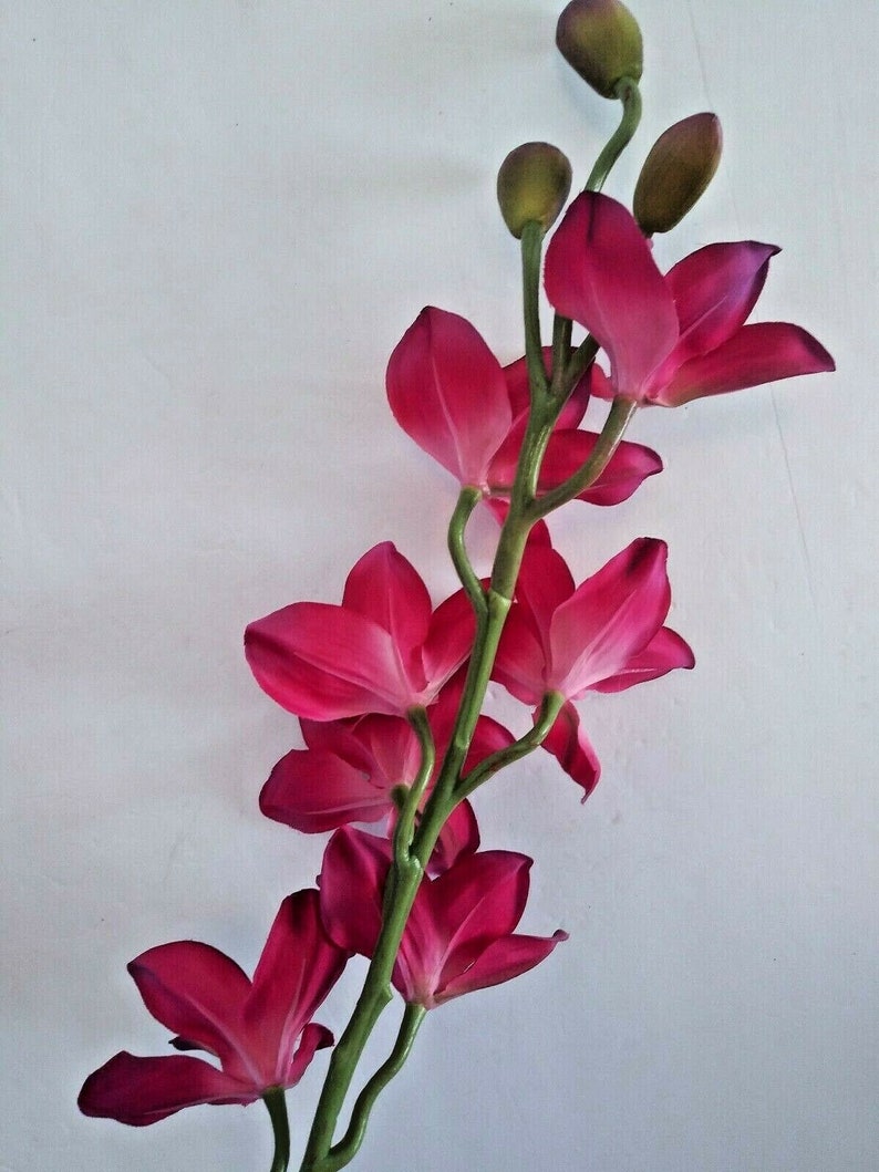 Artificial Cymbidium Orchid Stems Etsy
