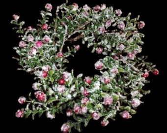 Snowy berry candle ring. For a 4" pillar candle