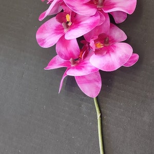 May include: A pink orchid flower with a green stem. The orchid has multiple blooms with a white center.