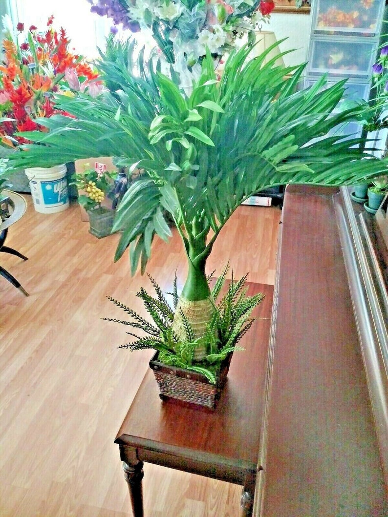 31 Artificial Bottle Palm Tree bonsai Silk Flower Etsy