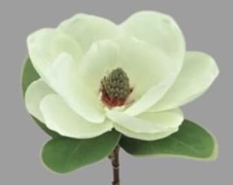 Magnolia stem stem CREAM