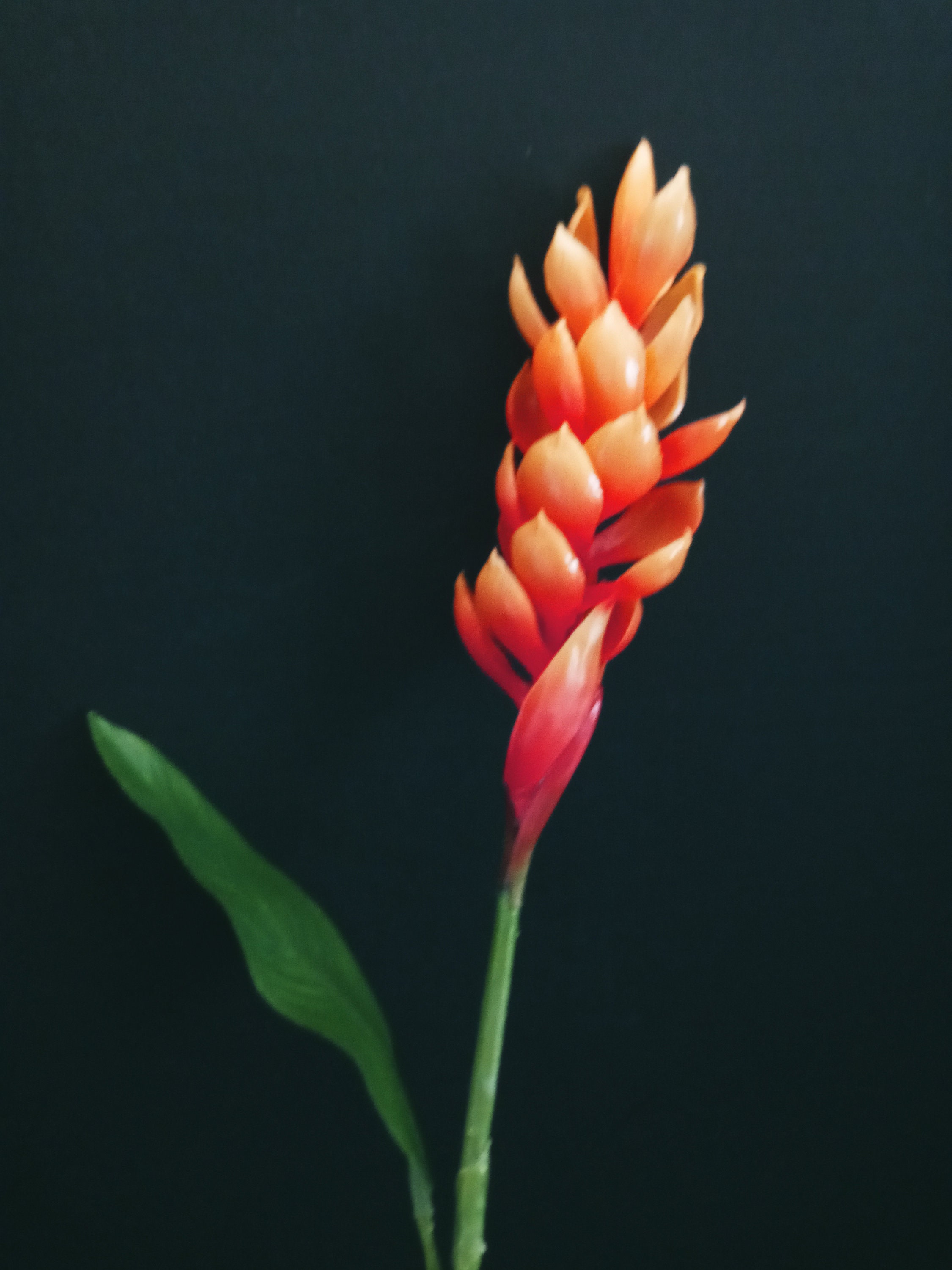 Hawaiian Silk Flower Arrangement Etsy