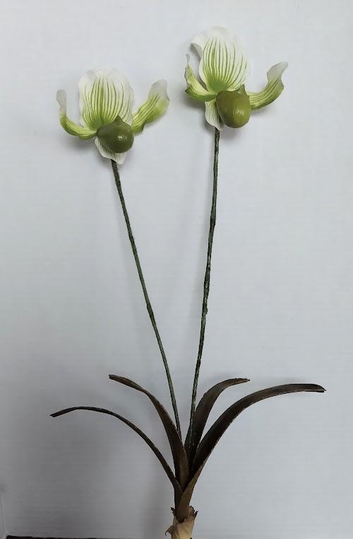 VINTAGE Artificial Paphiopedilum Lady Slipper Orchid W/O pot (GREEN)