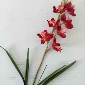 Artificial Cymbidium Orchid plant with roots Burgundy Pink Center