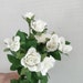 see more listings in the Floral Stems & Bushes section