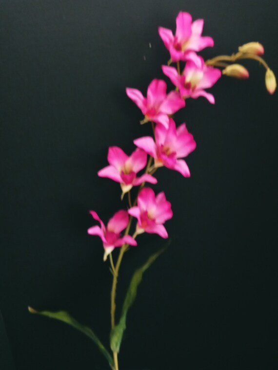 Dendrobium Orchid Stem. Silk Flower Floral Arrangements BT Etsy