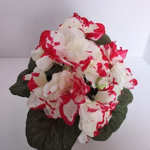 May include: A cluster of artificial flowers with white petals speckled with red. The flowers are surrounded by dark green leaves. The arrangement is likely for decorative purposes.