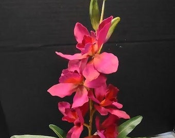 Absolutely beautiful Artificial Cymbidium Orchid Plant on disc