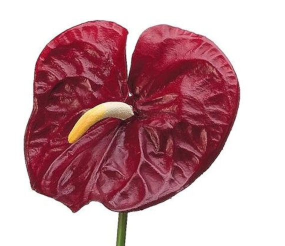 その他 1980s Taro & Anthurium Tropical Carving S-04 - The Rose Shop Online Floral Store - Utah