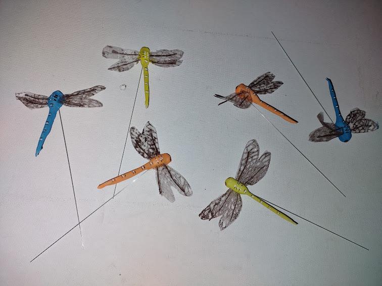 Large Dragonflies