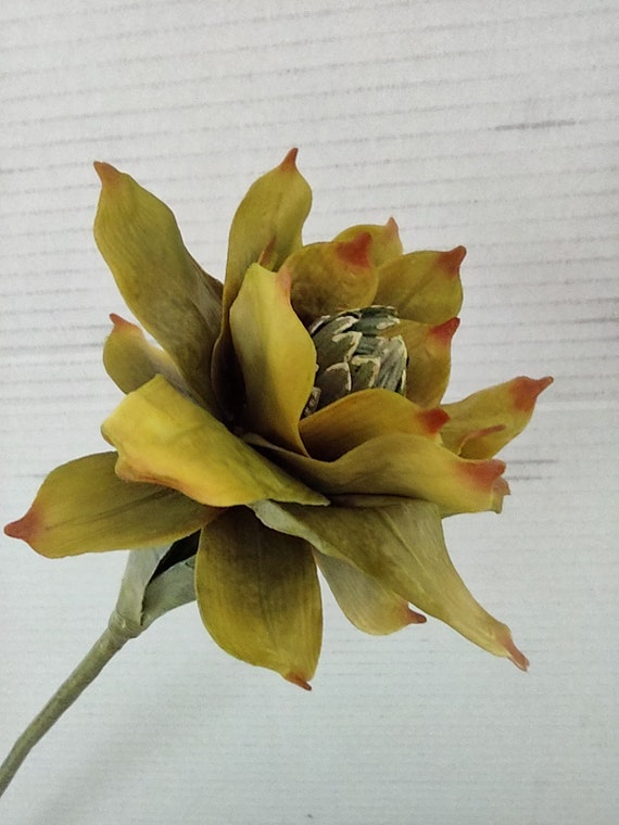 Artificial Rose Ginger Lily Stem Lime Green Etsy Denmark Artificial Rose Ginger Lily Stem Lime Green Etsy Denmark