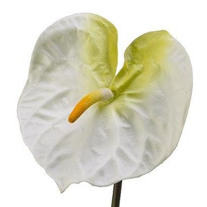 ONE DOZEN 27&quot; STEMS  Artificial Anthurium stems