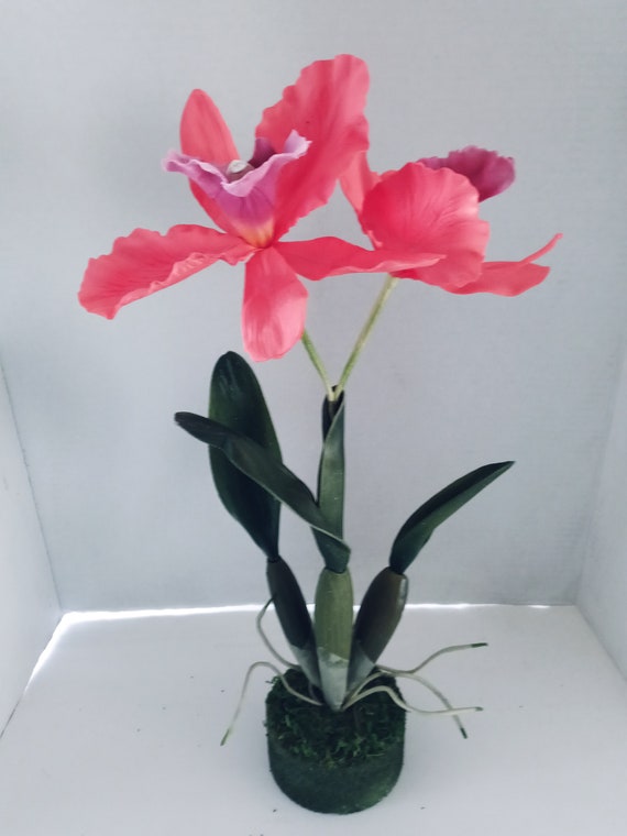 Home Décor Vintage Cattleya Orchid WO pot Silk Flowers Plants Floral