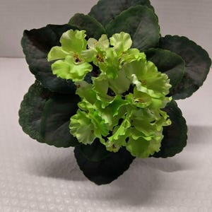 8インチ人工アフリカバイオレット（グリーン）