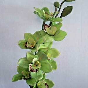 Artificial Cymbidium Orchid Stems