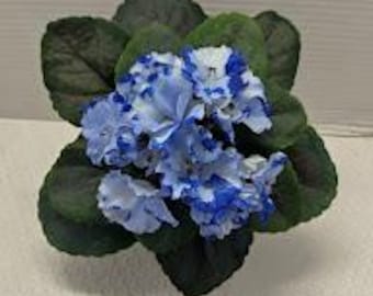 Violeta africana artificial de 8" (azul con borde azul profundo)