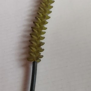 Burro&#39;s tail succulent pick.